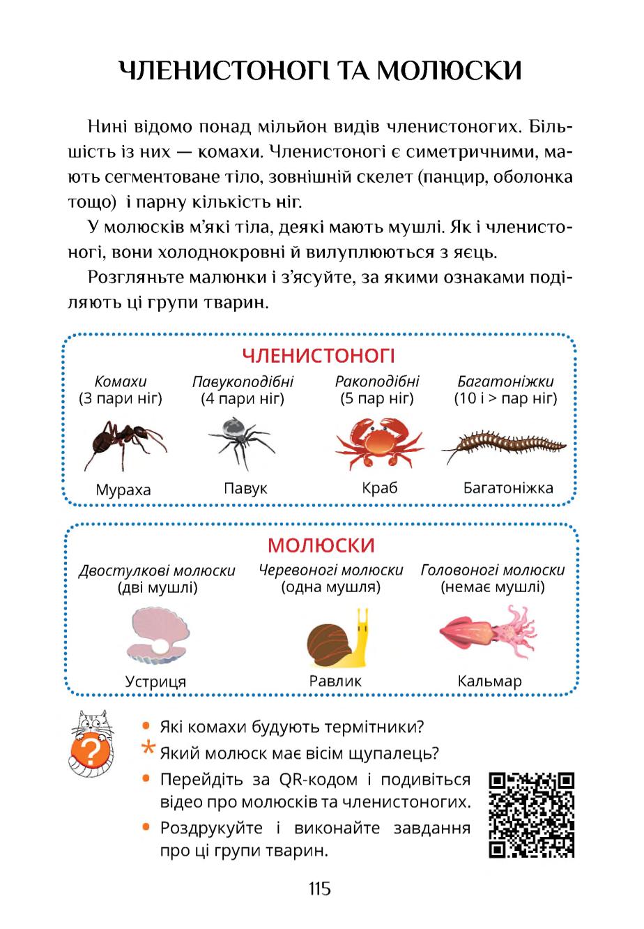 Мініатюра 115