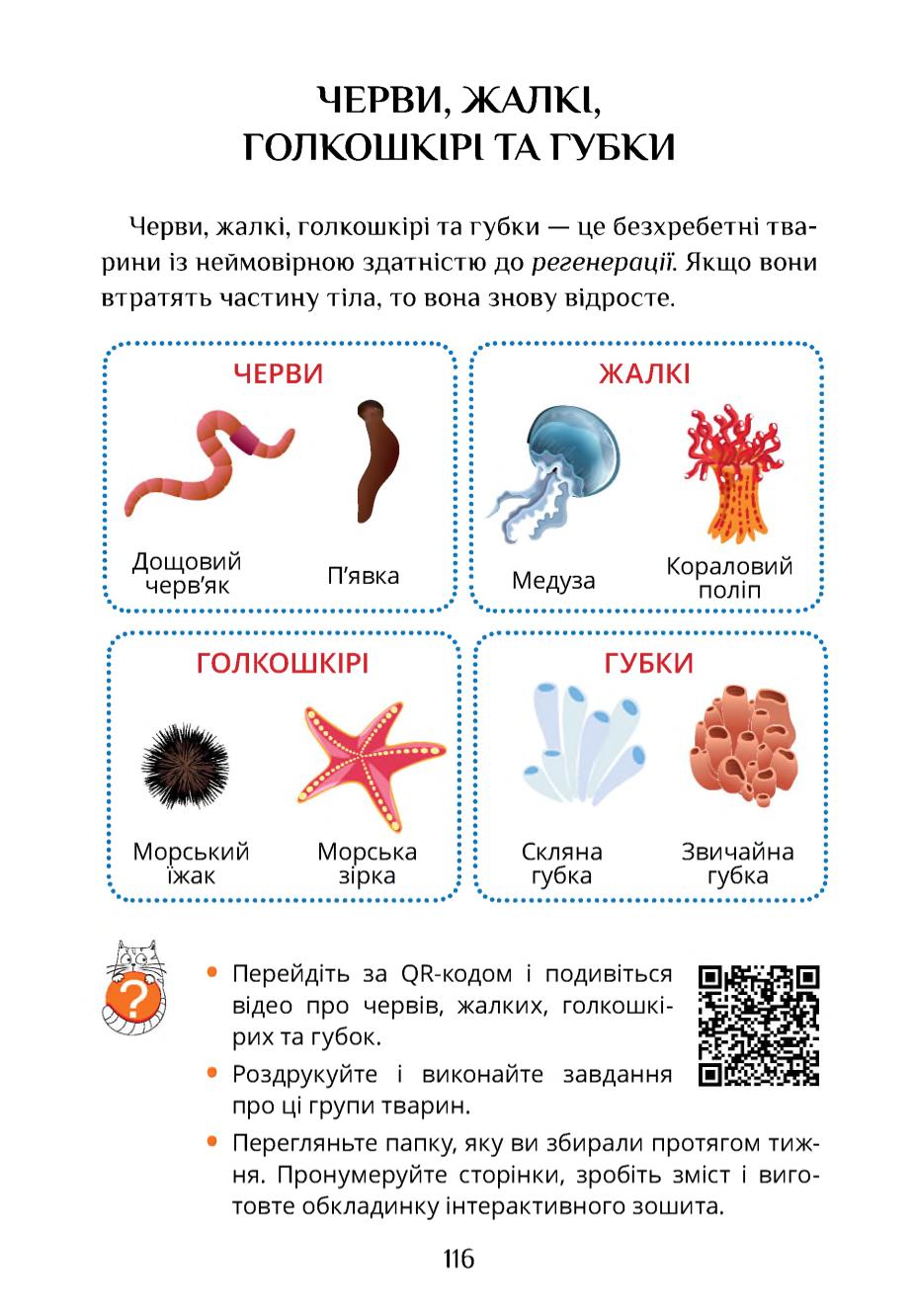 Мініатюра 116
