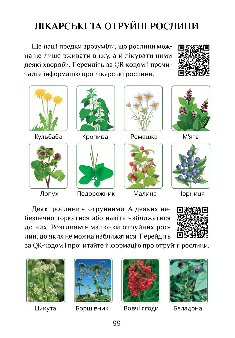 Мініатюра 99