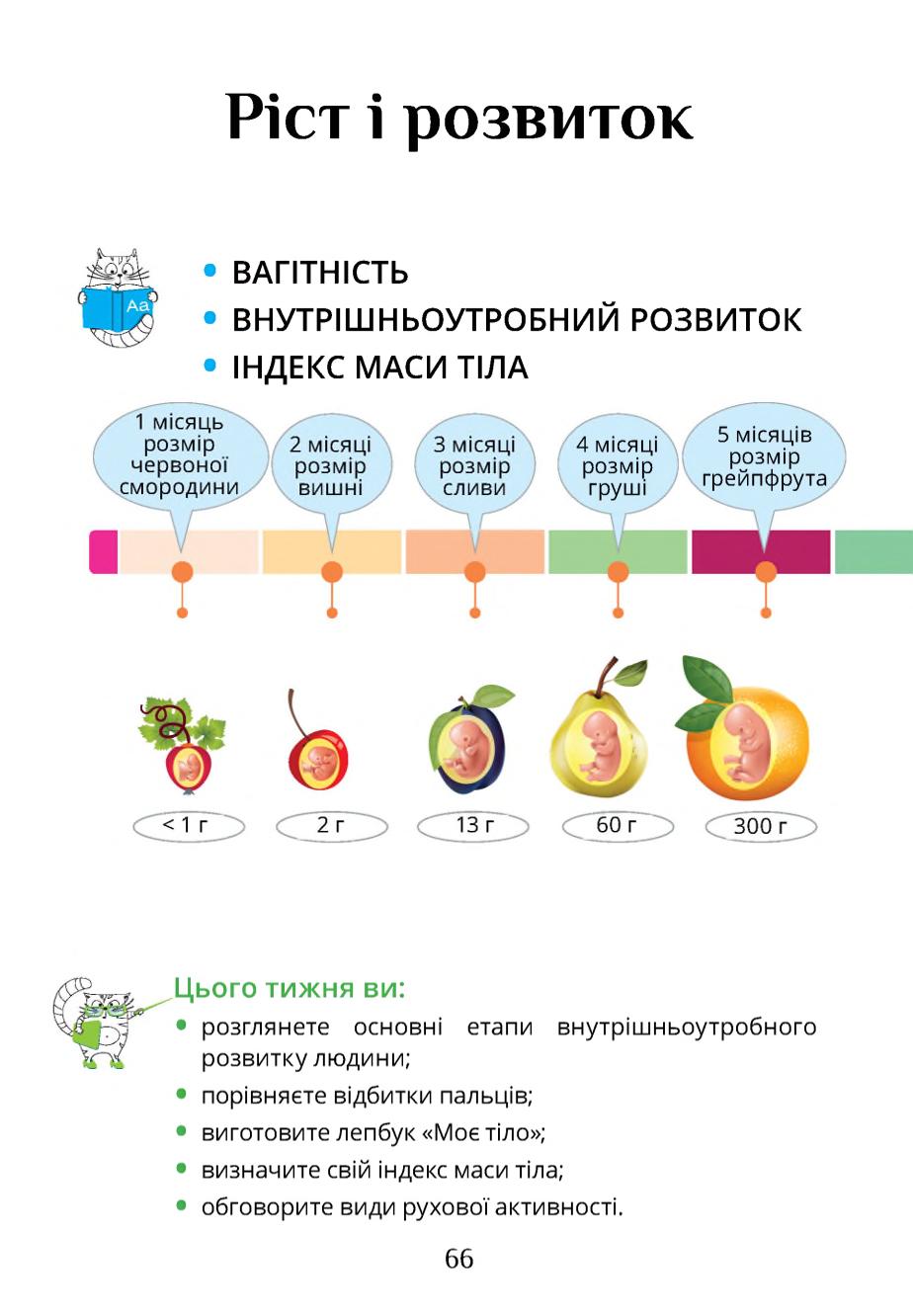 Мініатюра 66