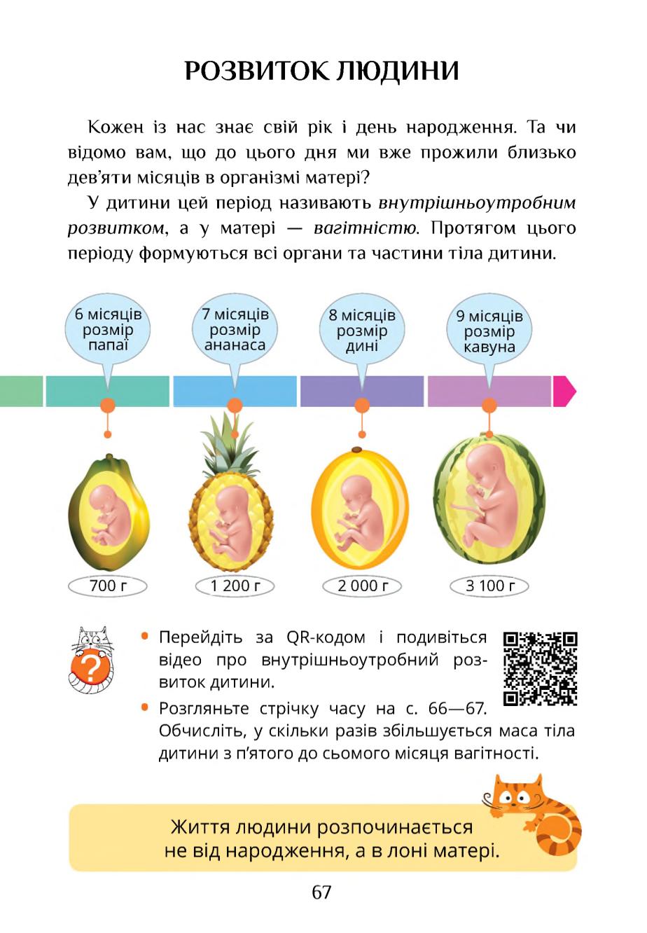 Мініатюра 67