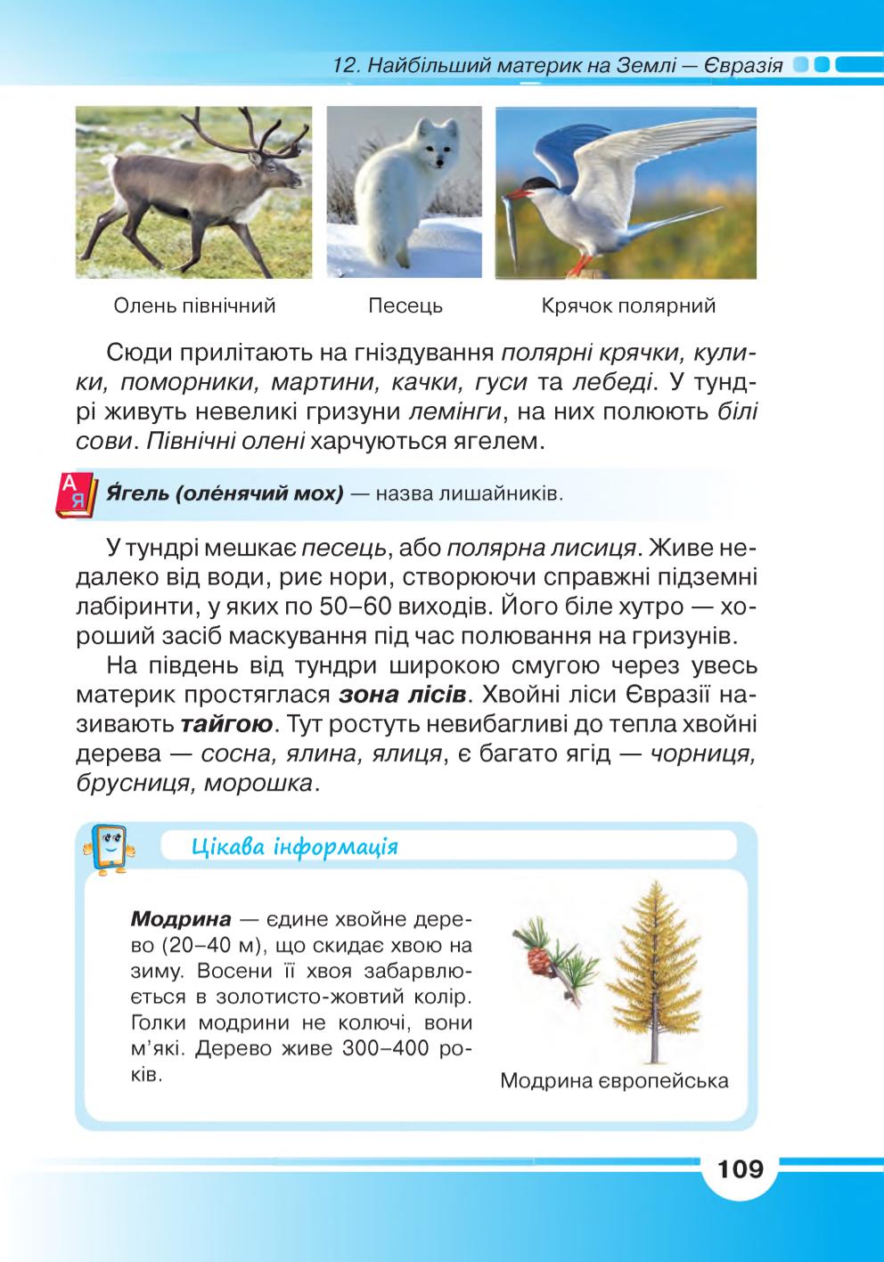 Мініатюра 109