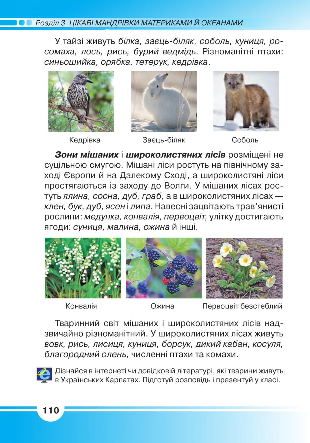 Мініатюра 110