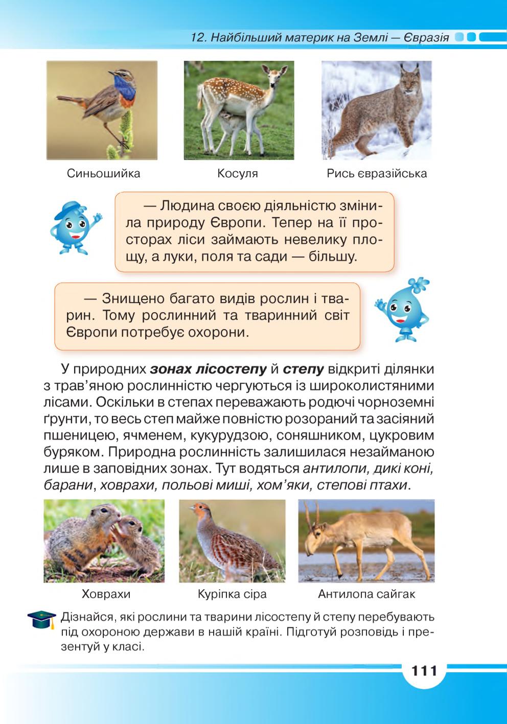 Мініатюра 111