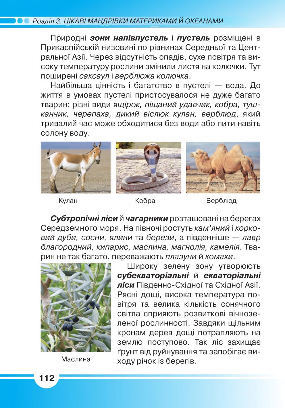 Мініатюра 112