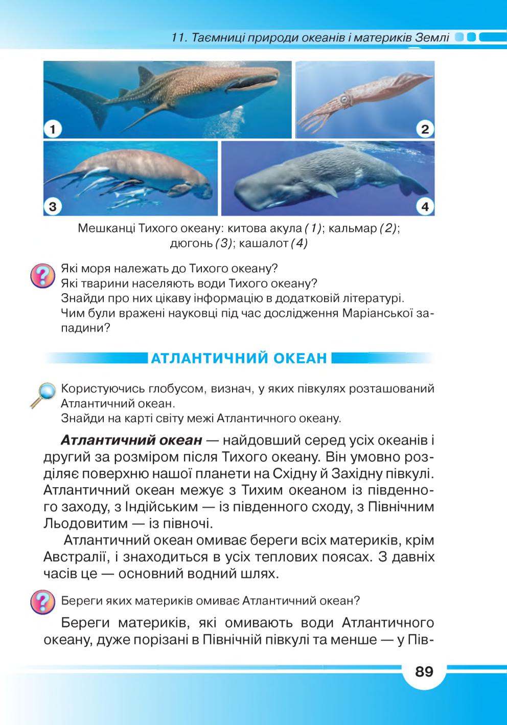 Мініатюра 89