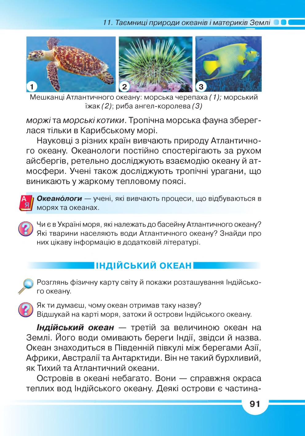 Мініатюра 91