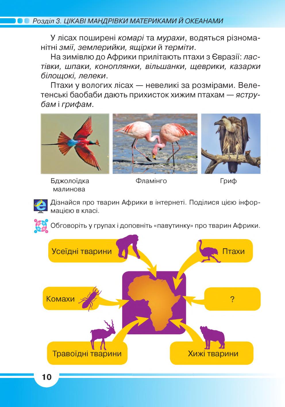 Мініатюра 10
