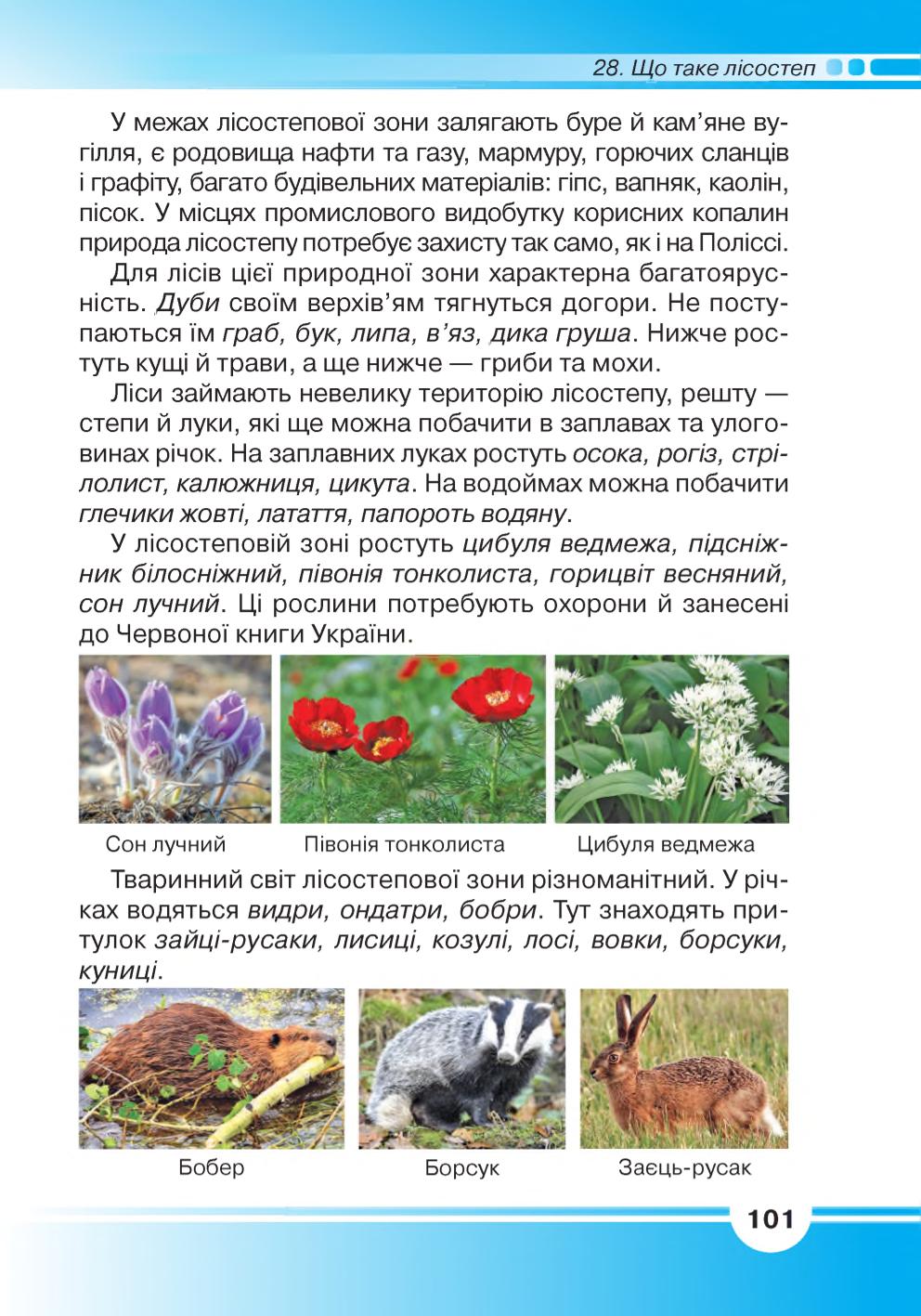 Мініатюра 101