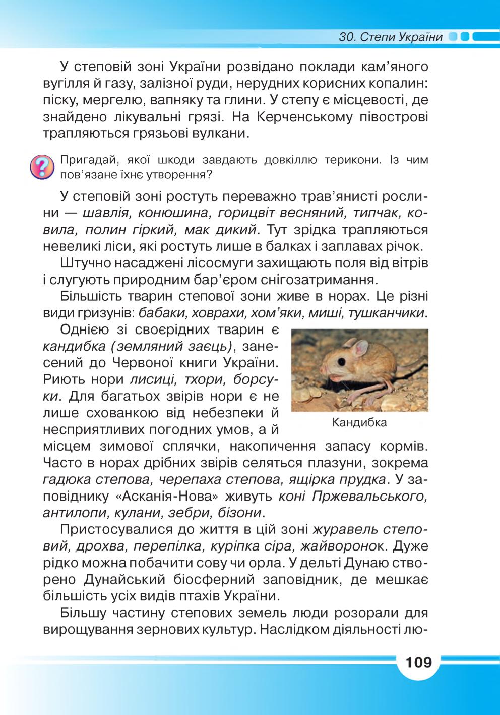 Мініатюра 109