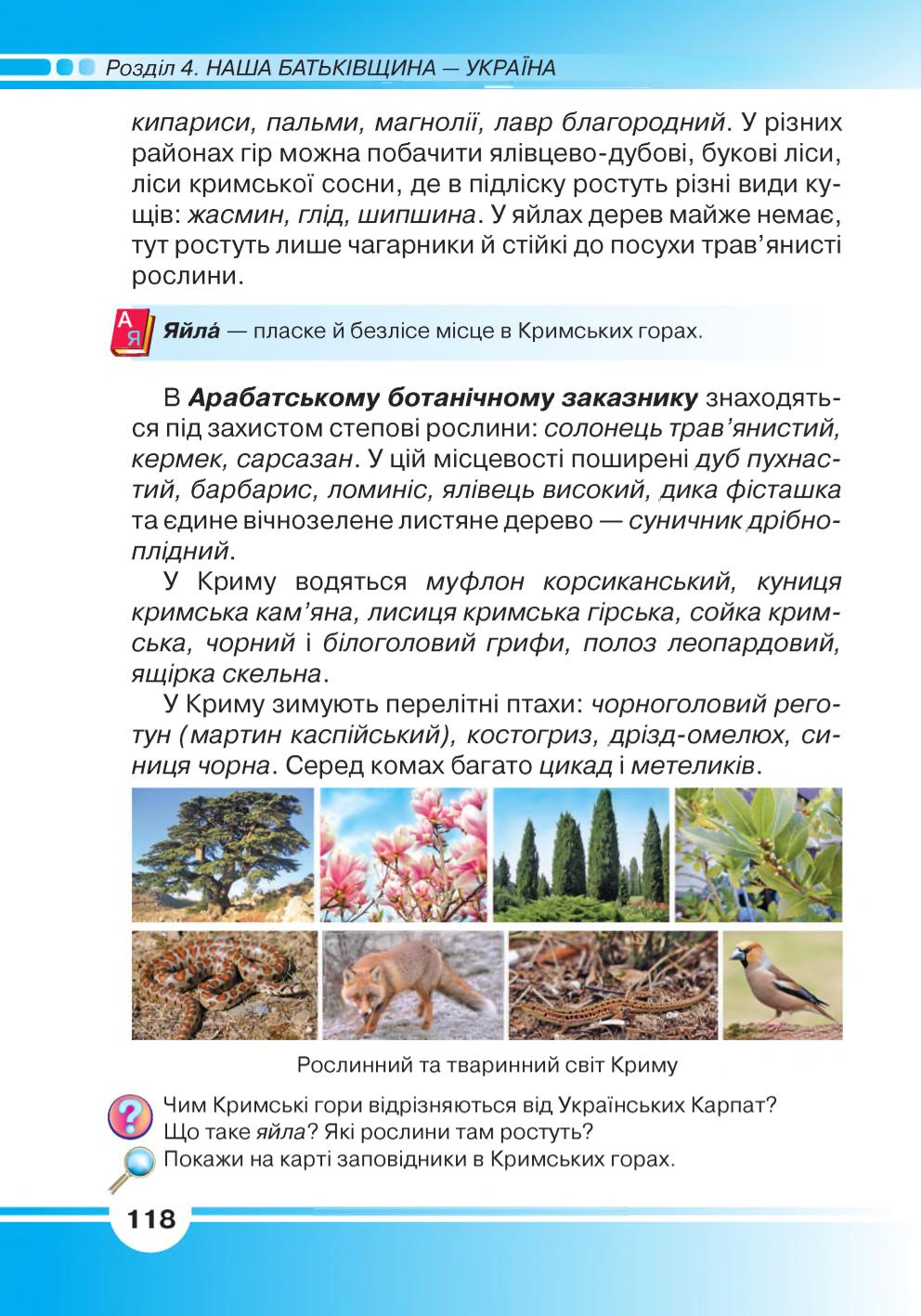 Мініатюра 118