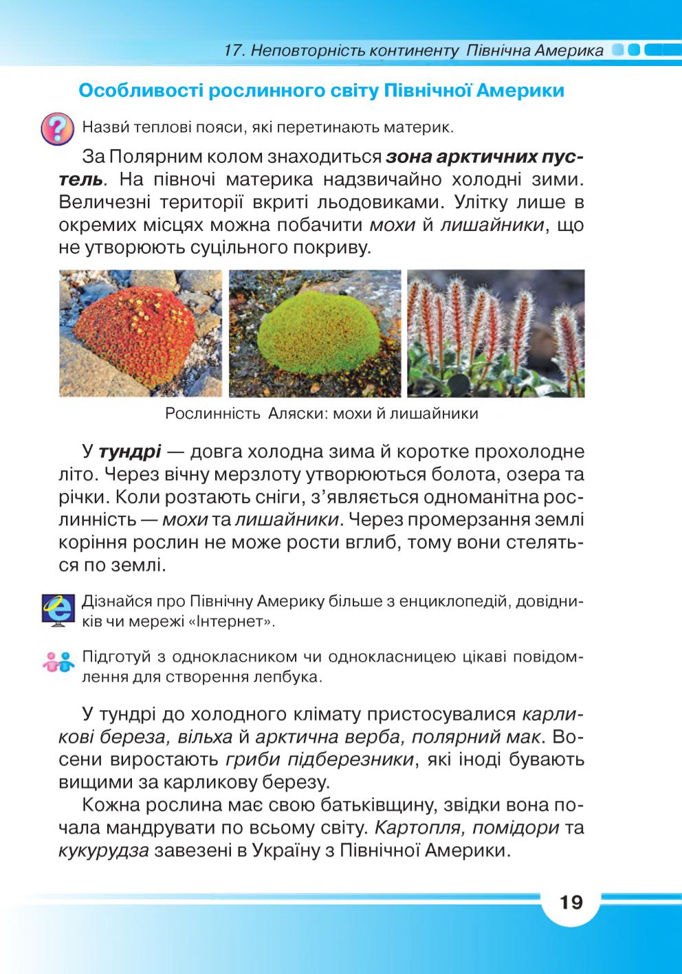 Мініатюра 19