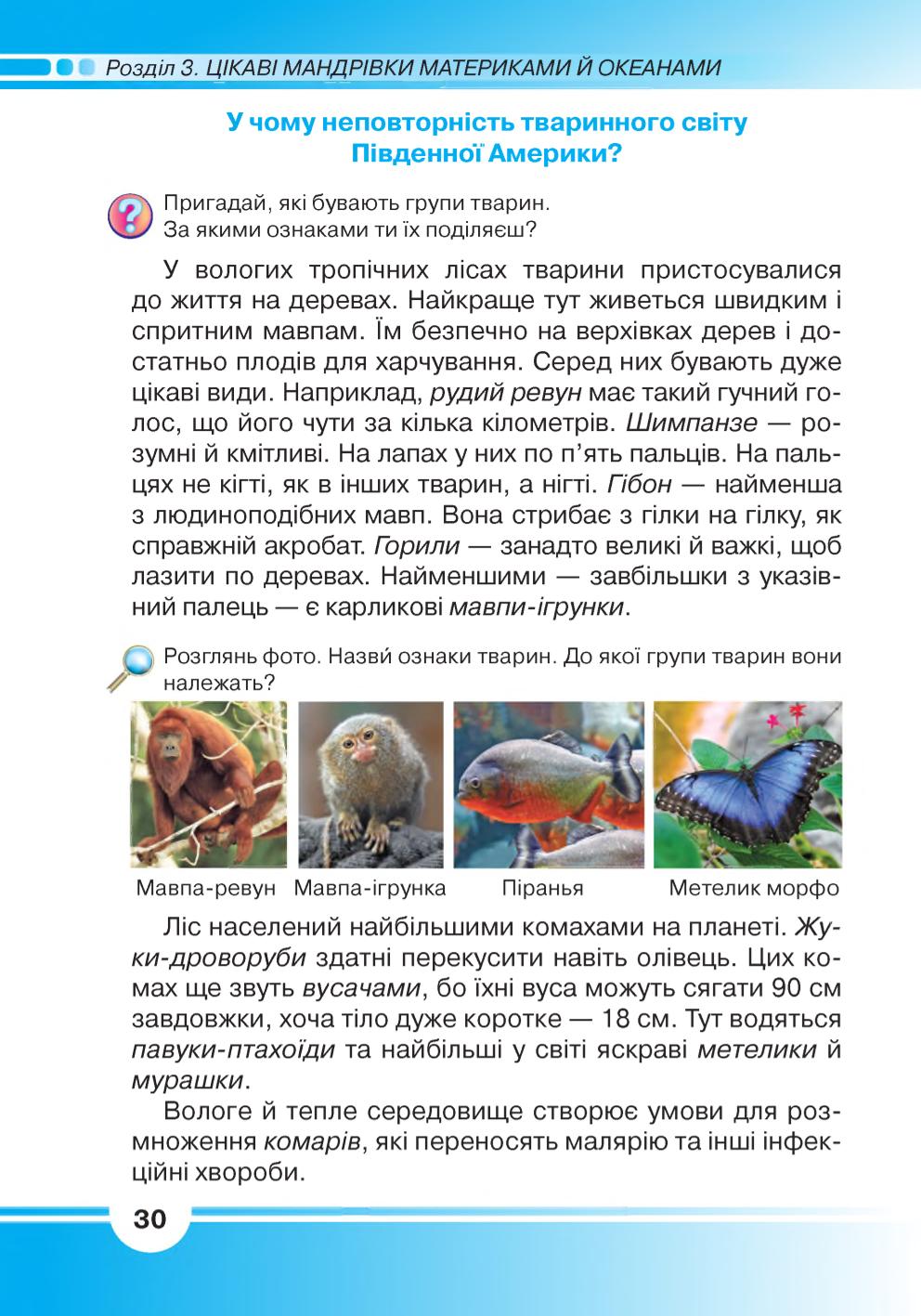 Мініатюра 30