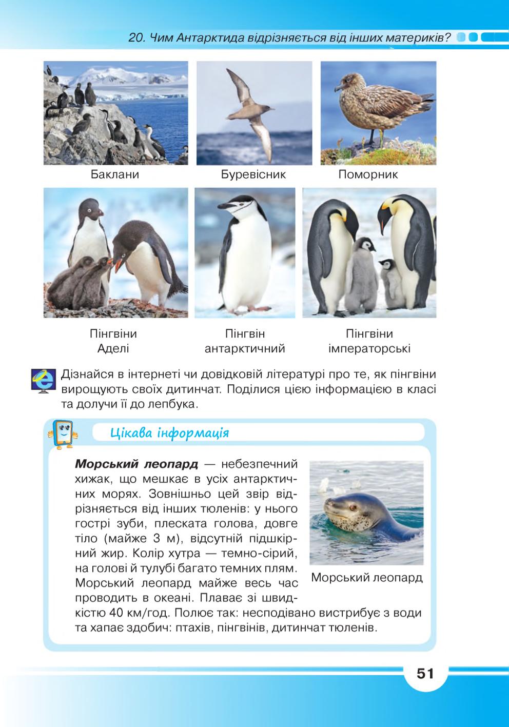 Мініатюра 51