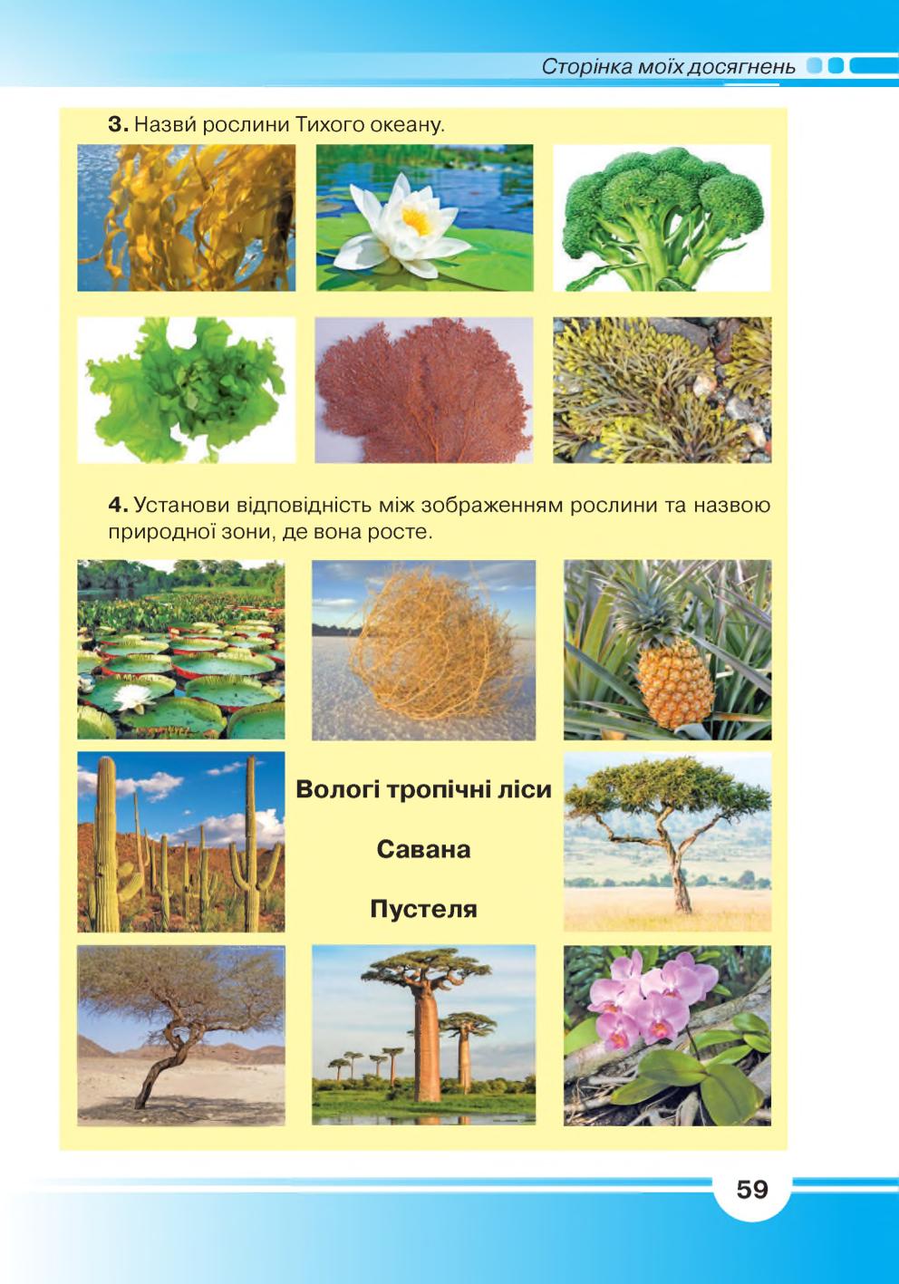 Мініатюра 59