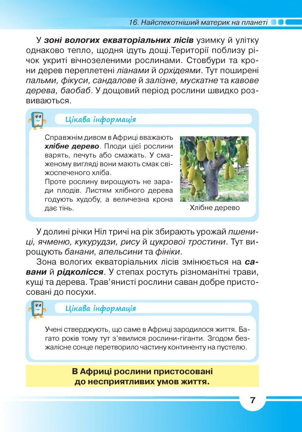 Мініатюра 7