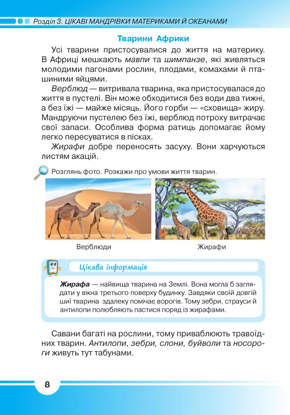 Мініатюра 8