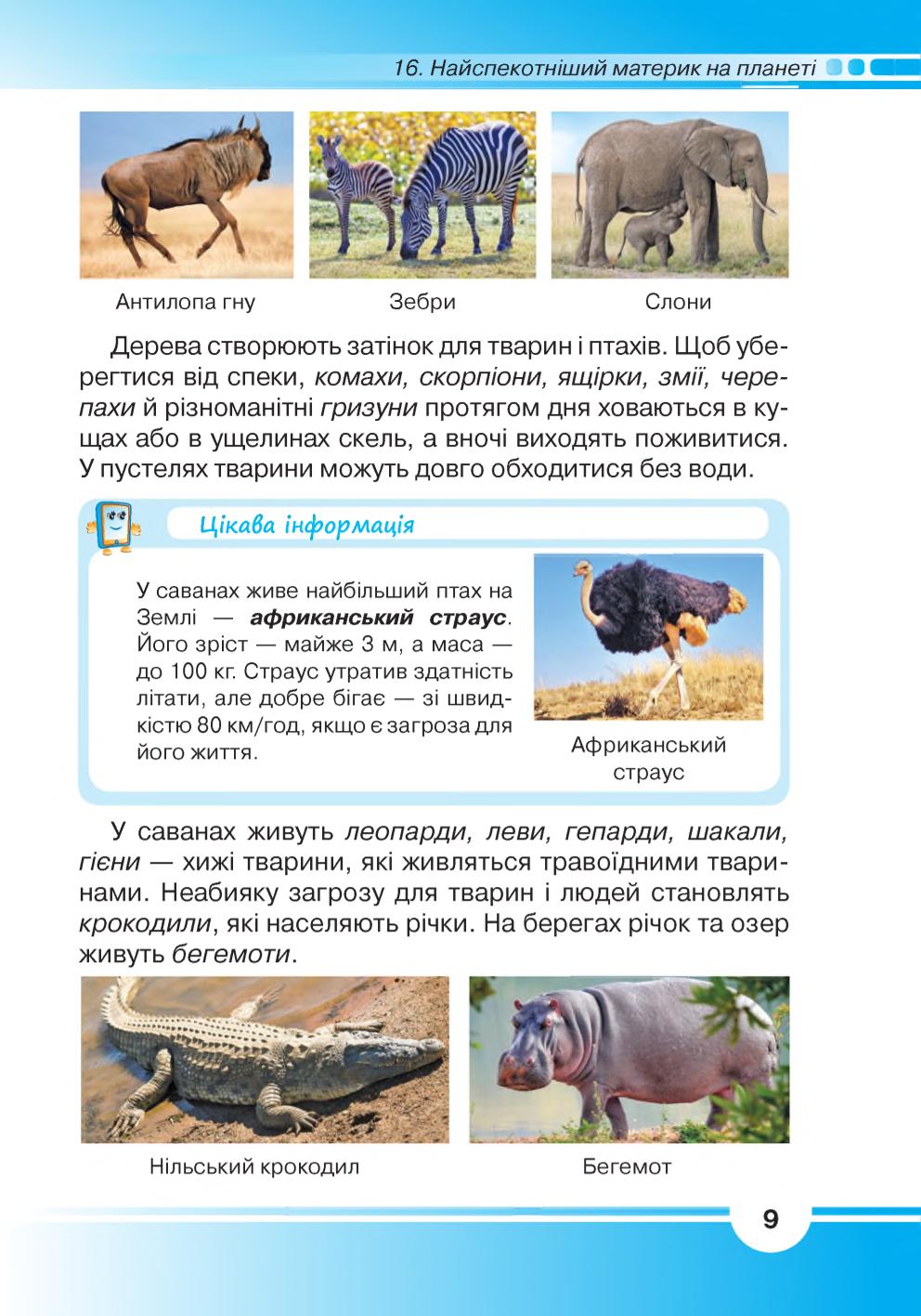 Мініатюра 9