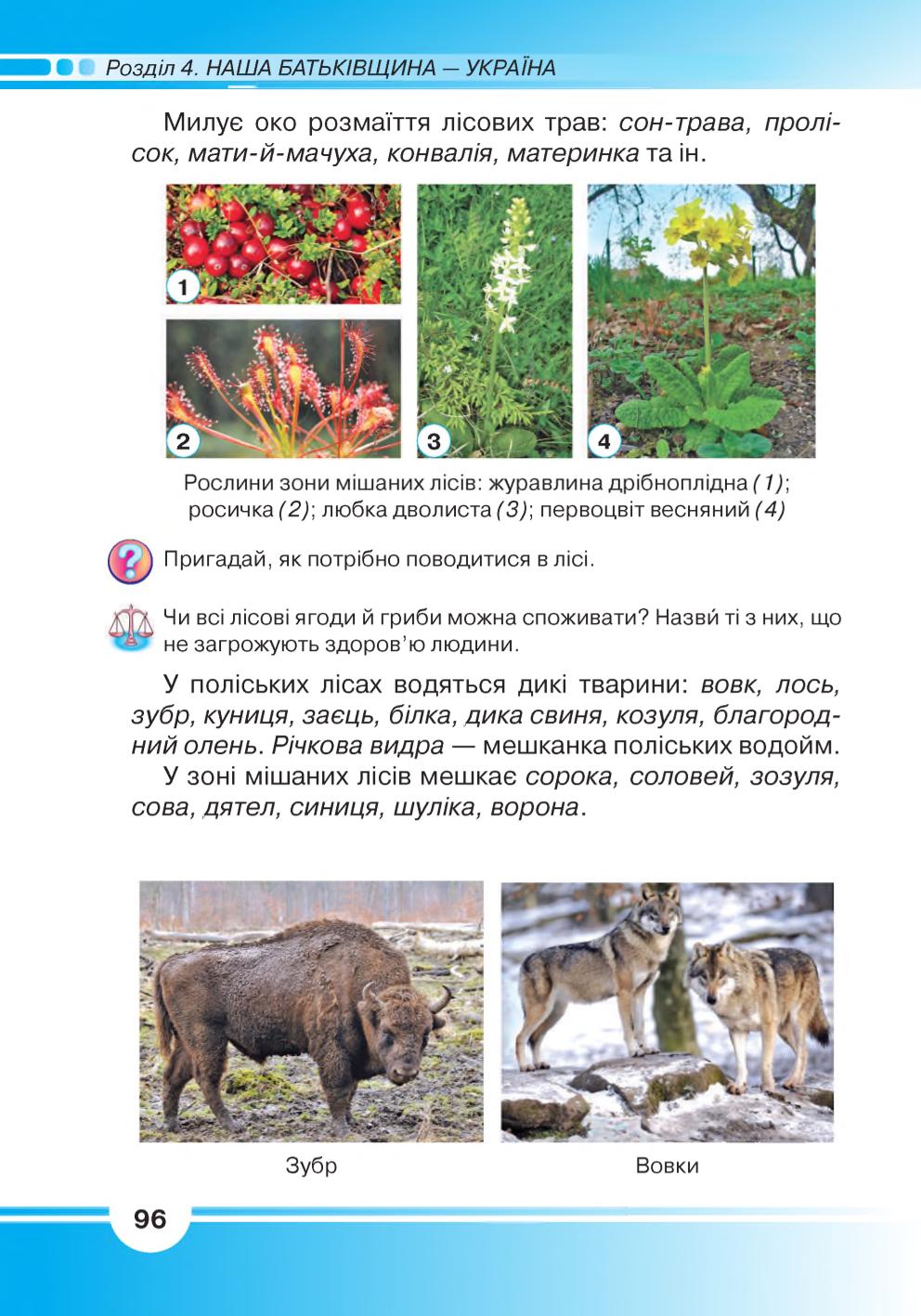 Мініатюра 96