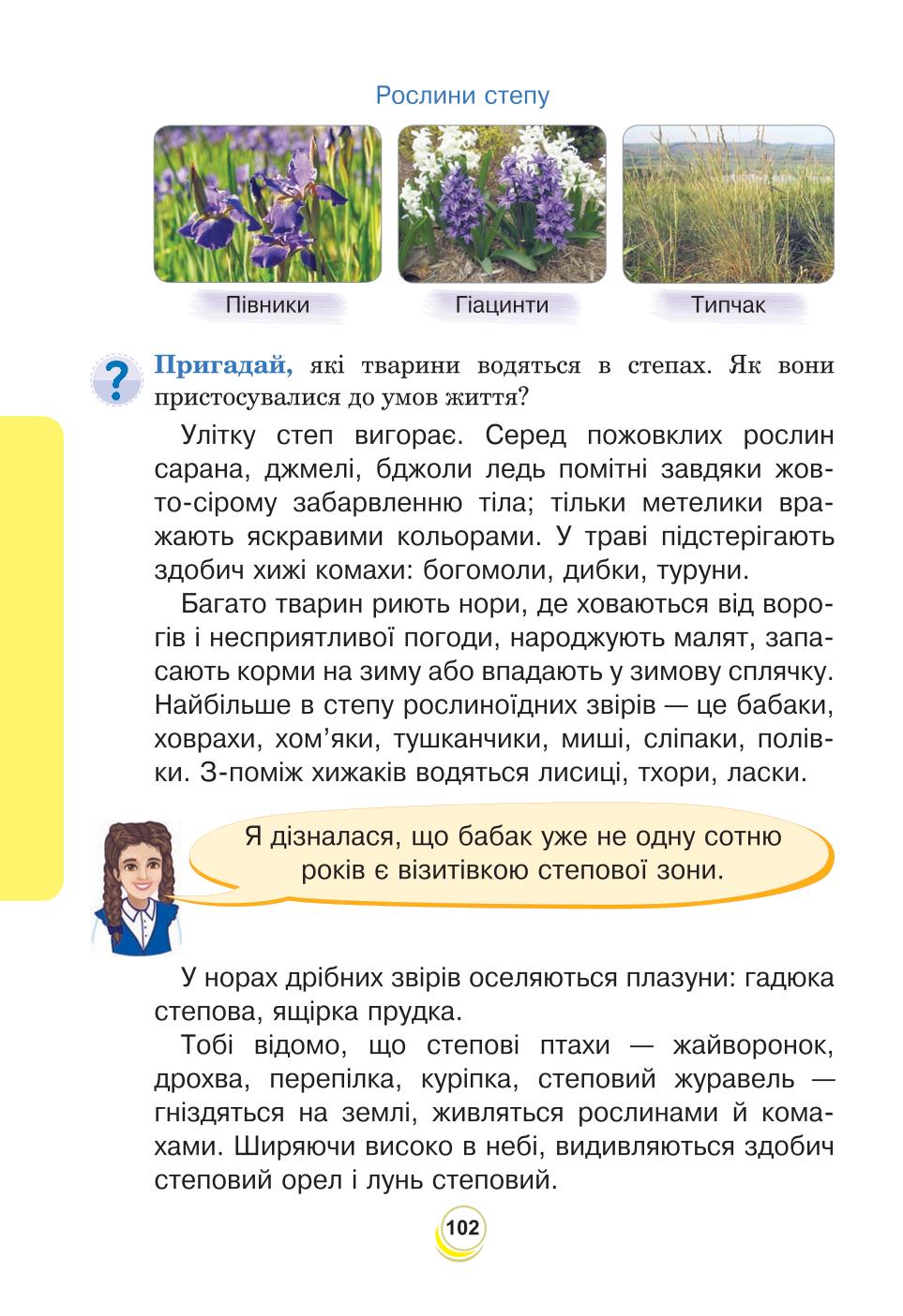 Мініатюра 102