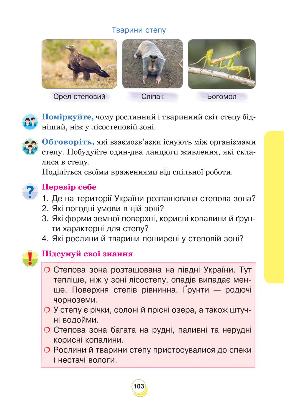 Мініатюра 103