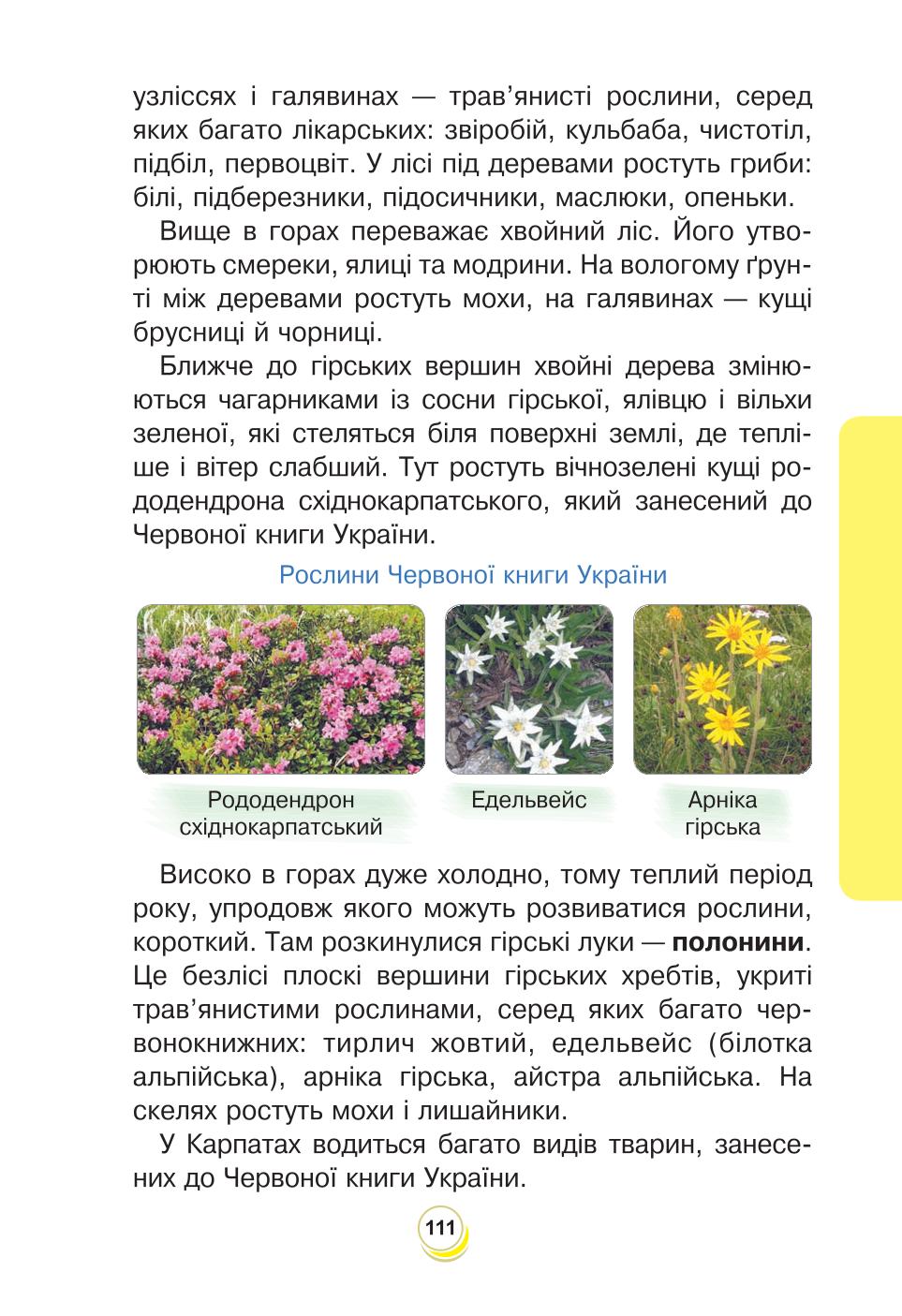 Мініатюра 111