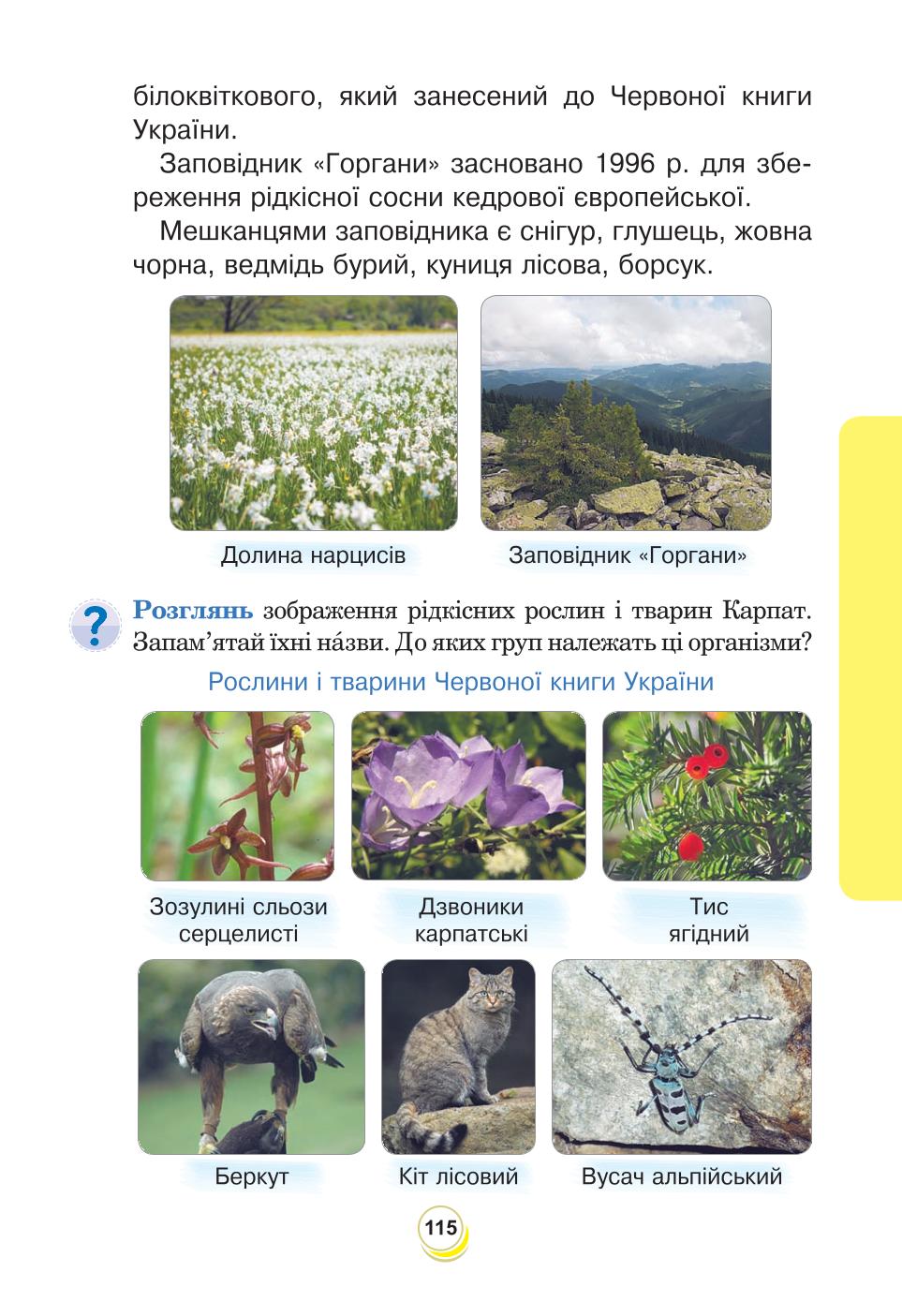 Мініатюра 115