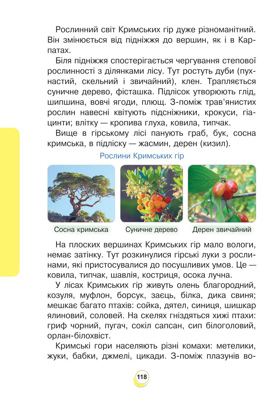 Мініатюра 118