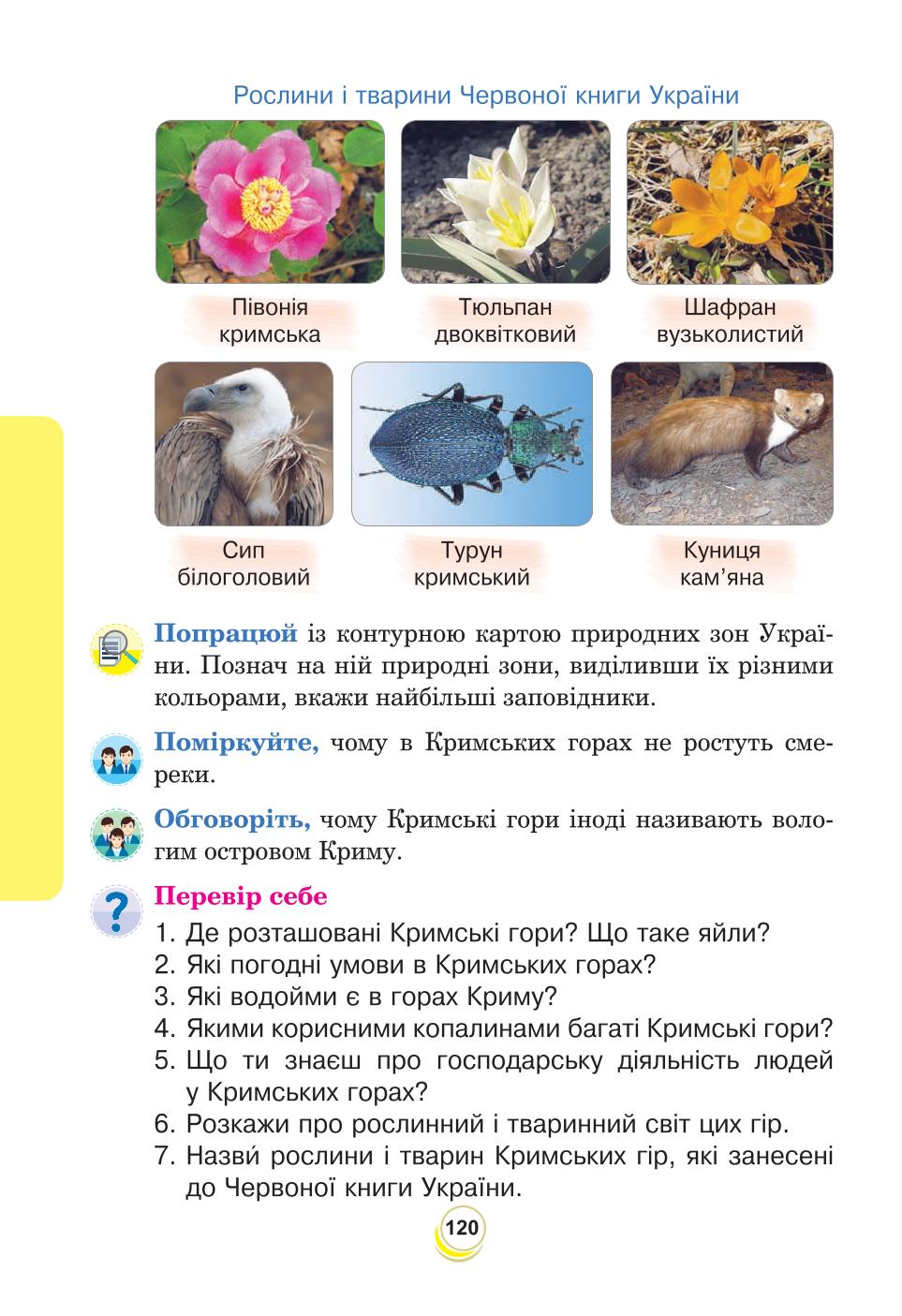 Мініатюра 120