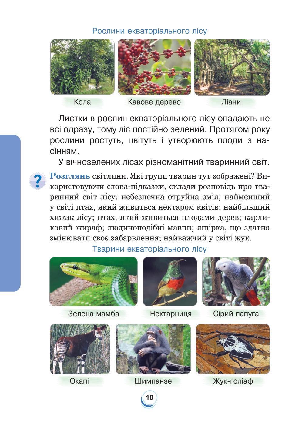 Мініатюра 18