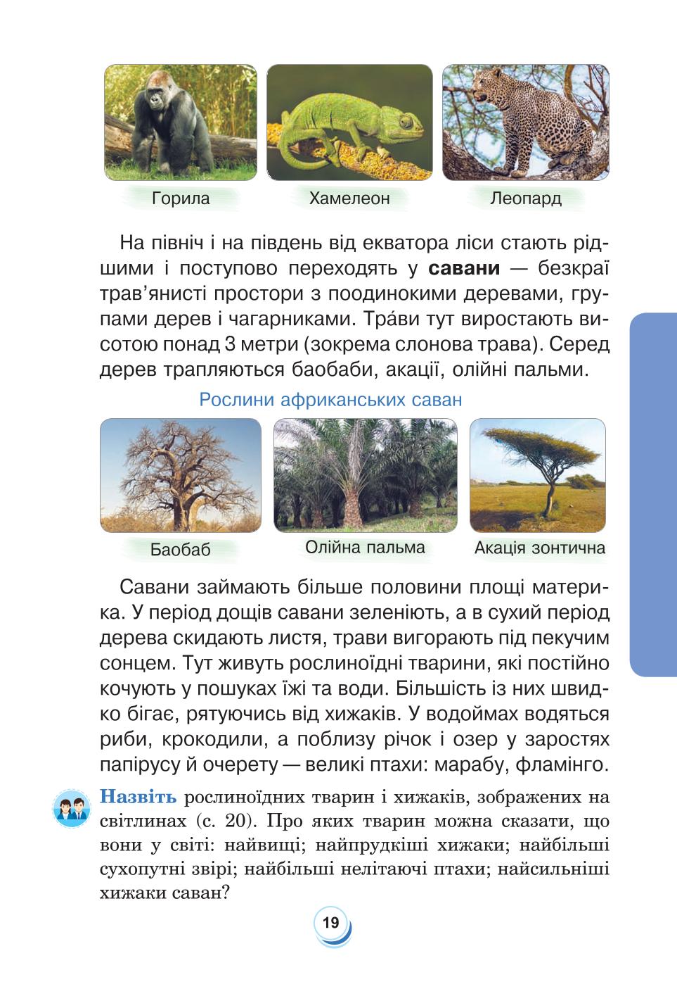 Мініатюра 19