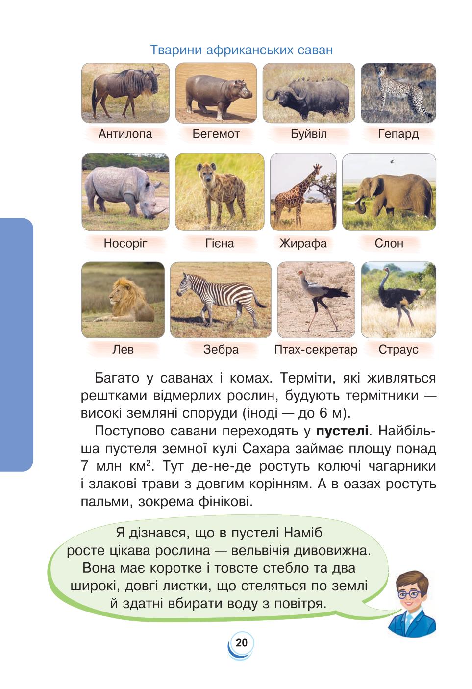 Мініатюра 20