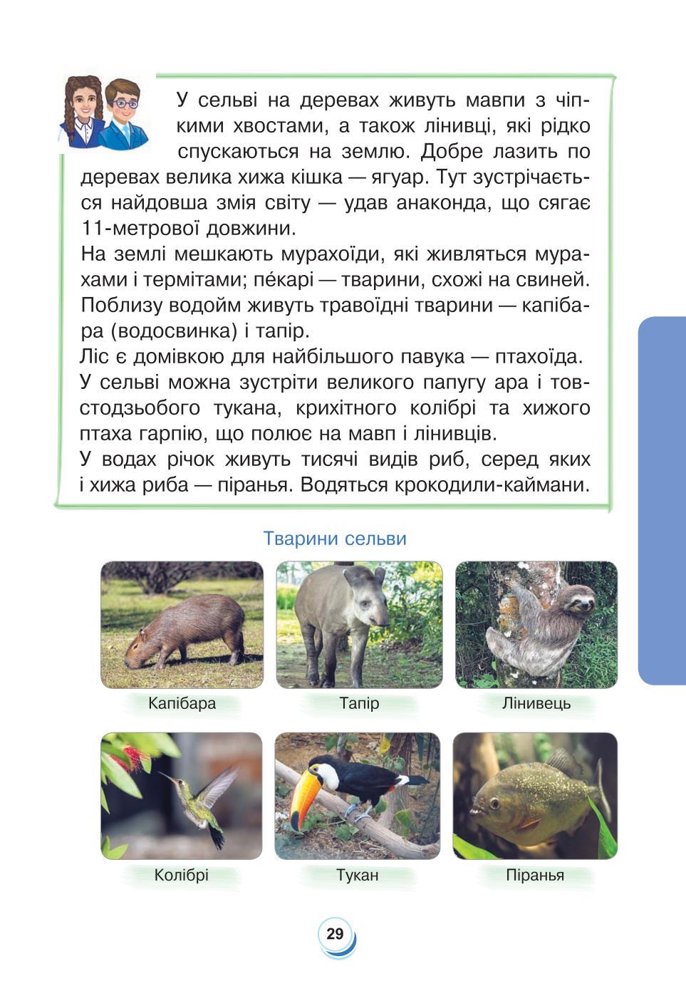 Мініатюра 29