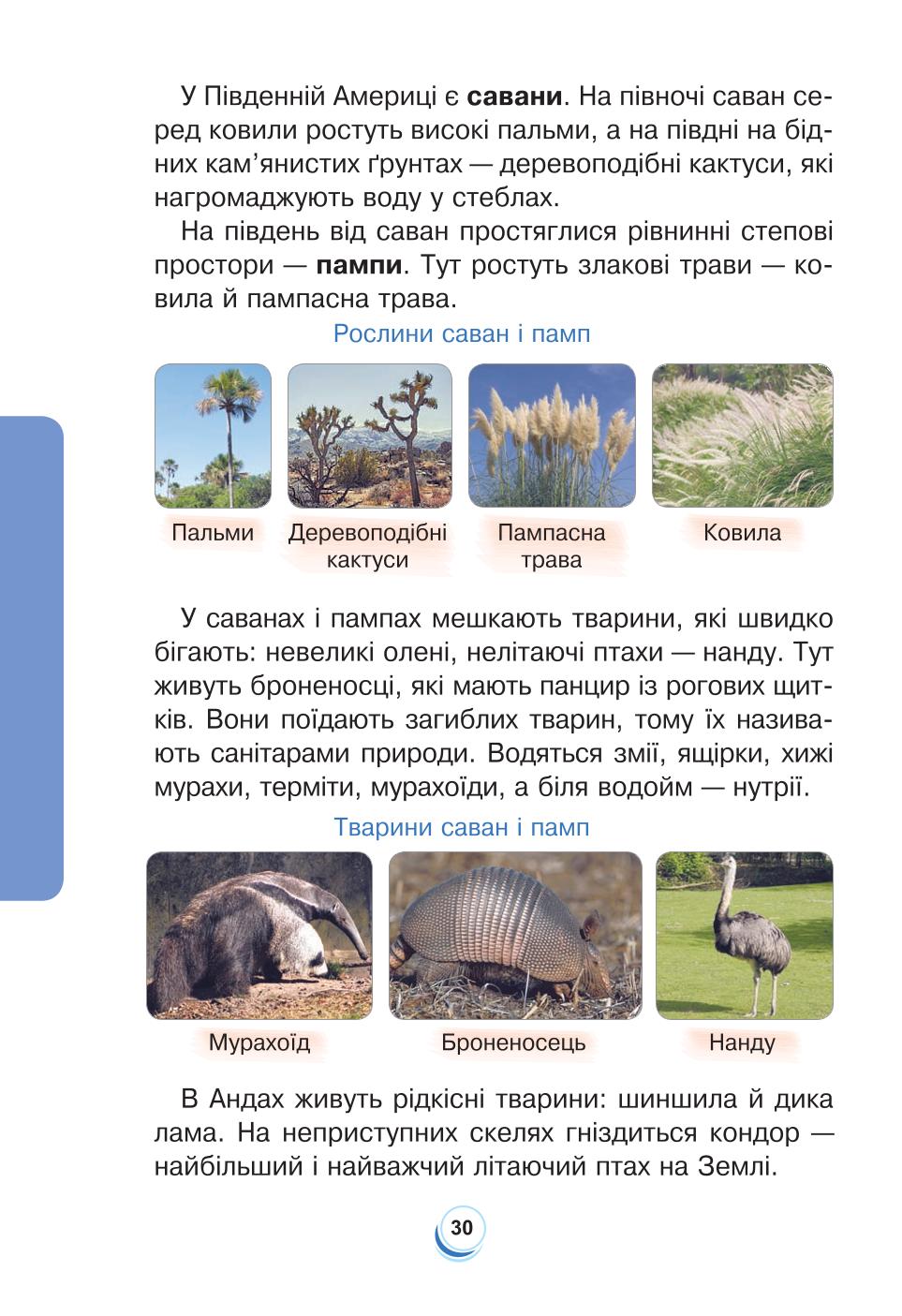 Мініатюра 30