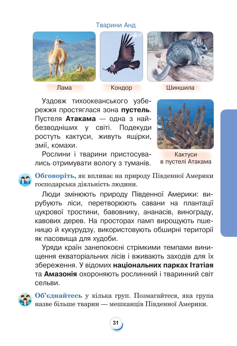 Мініатюра 31