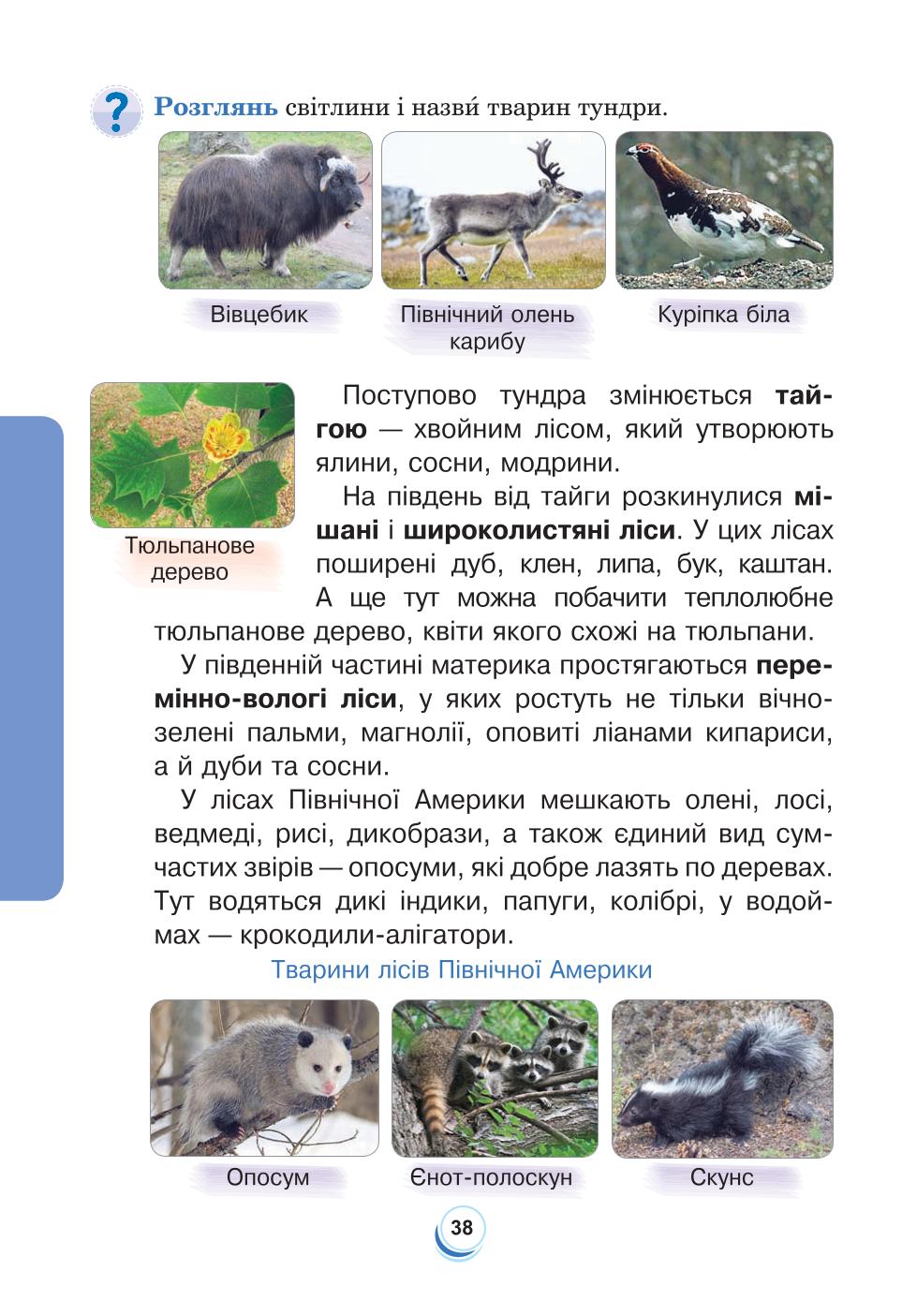 Мініатюра 38