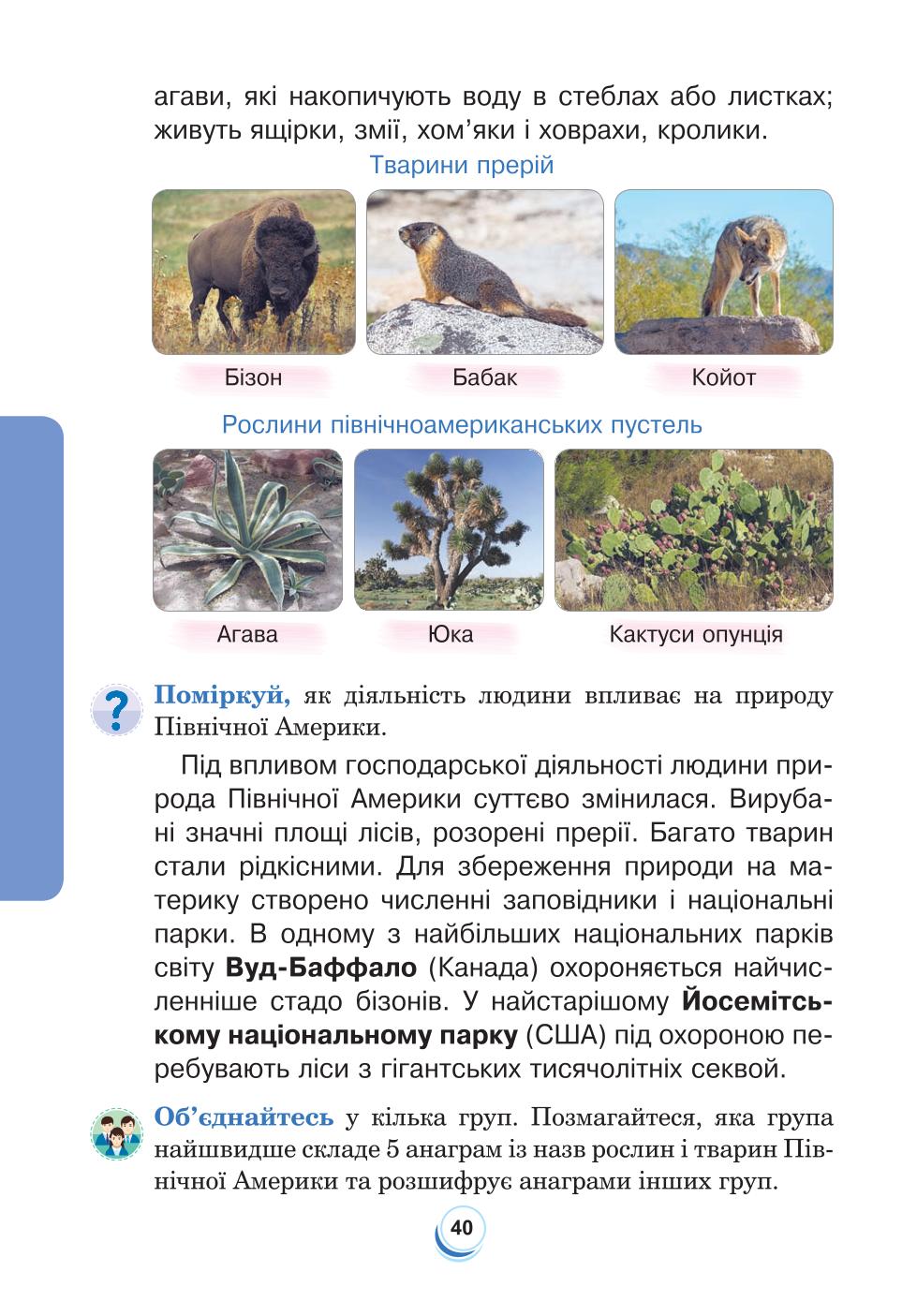 Мініатюра 40