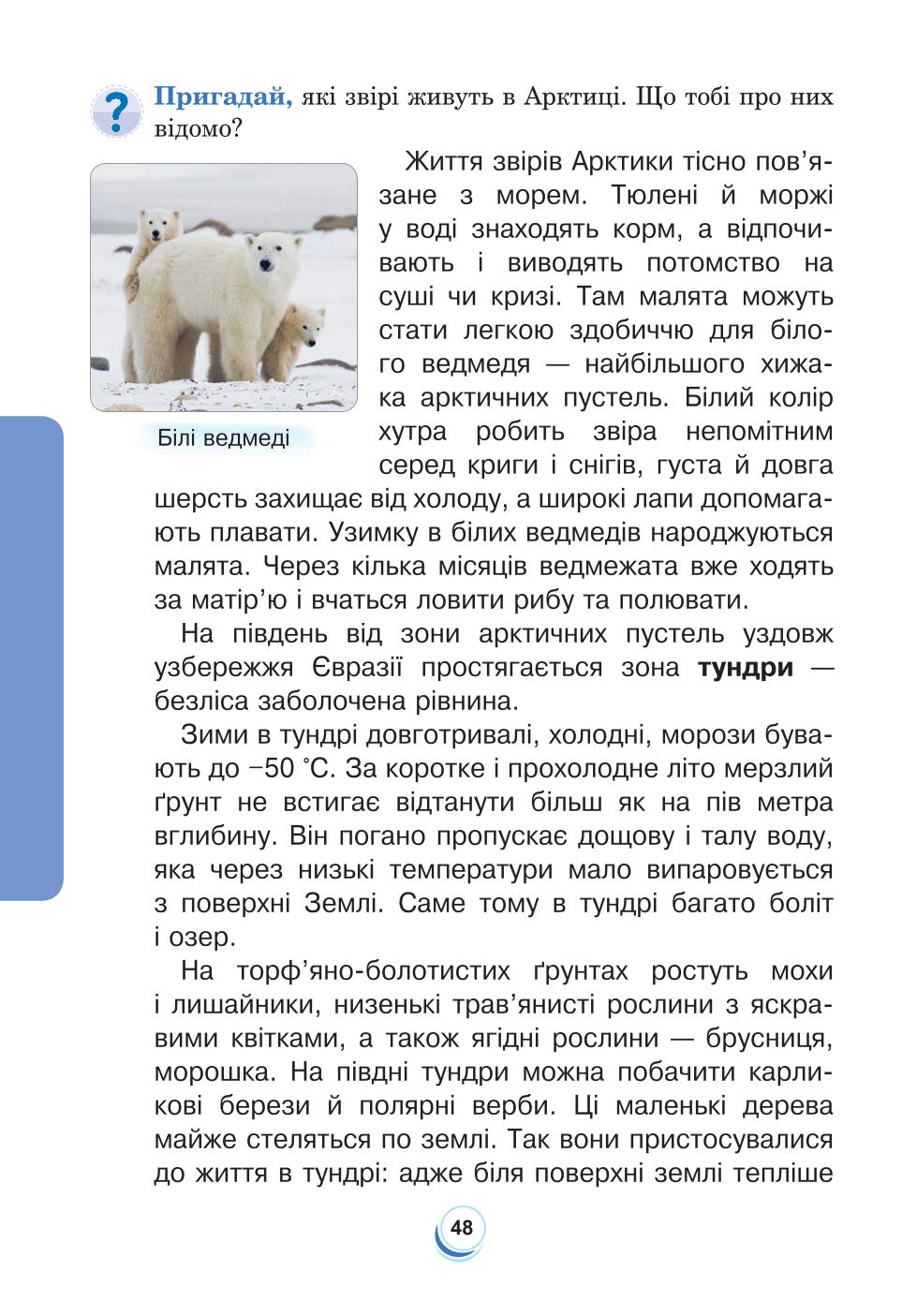 Мініатюра 48