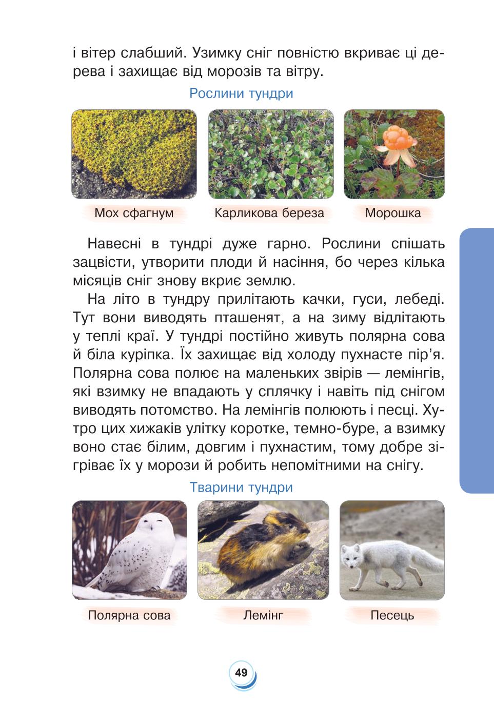 Мініатюра 49