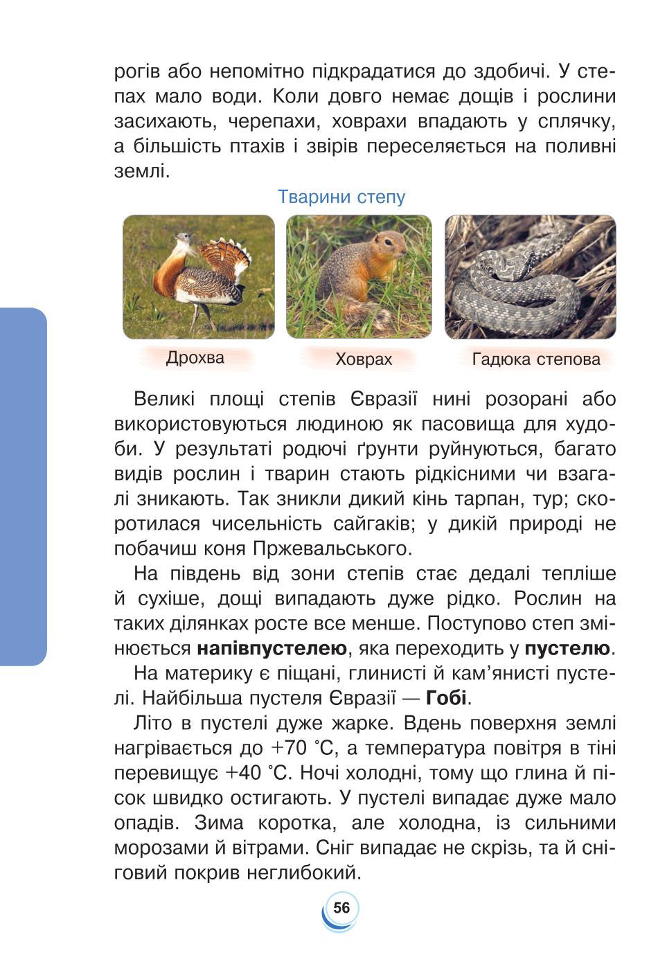 Мініатюра 56