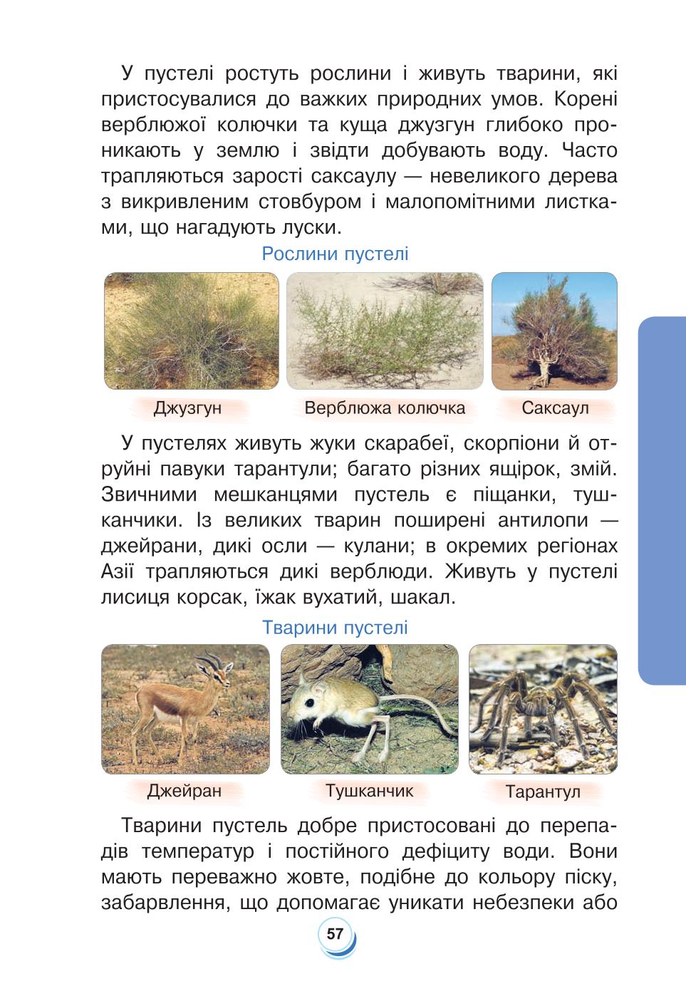 Мініатюра 57