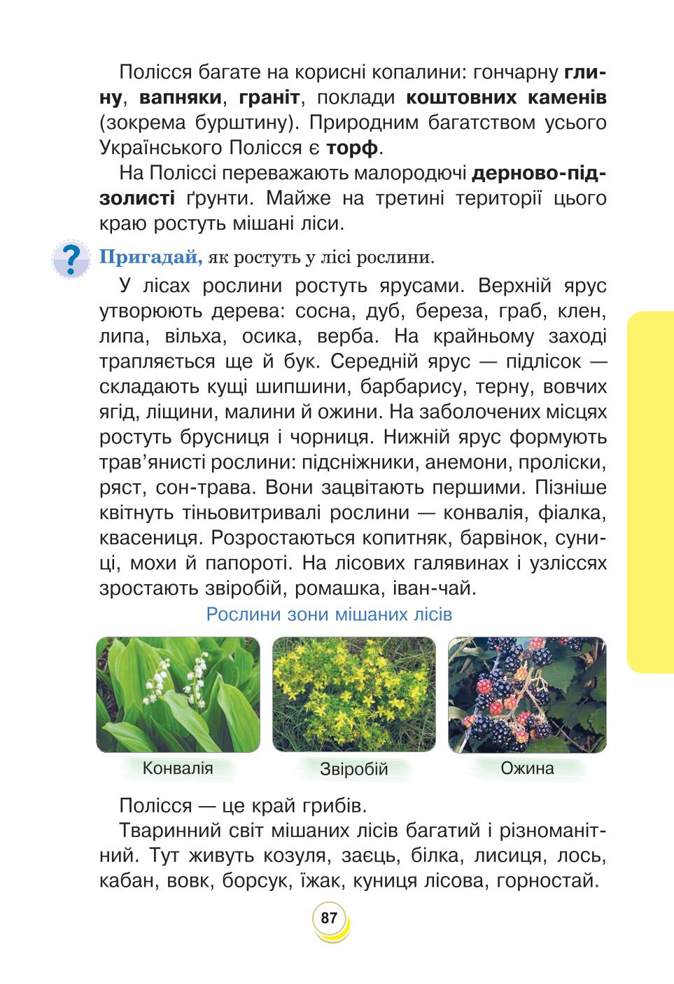 Мініатюра 87