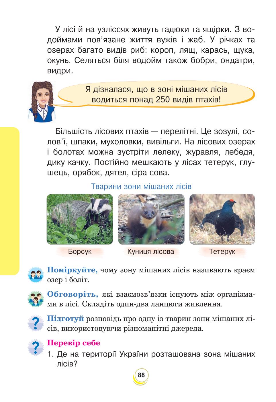 Мініатюра 88