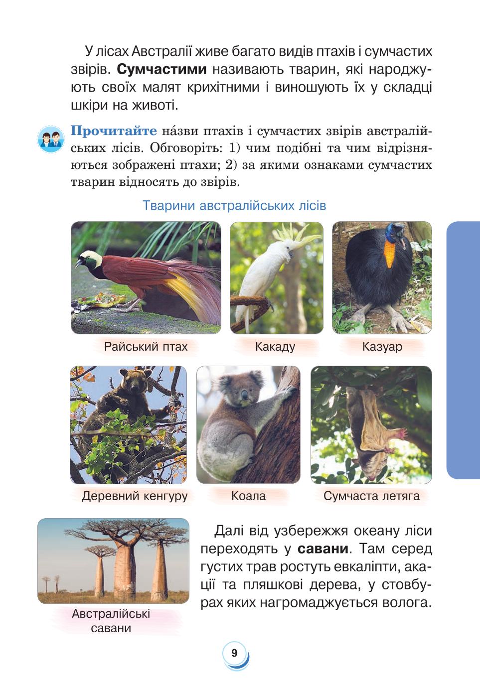Мініатюра 9