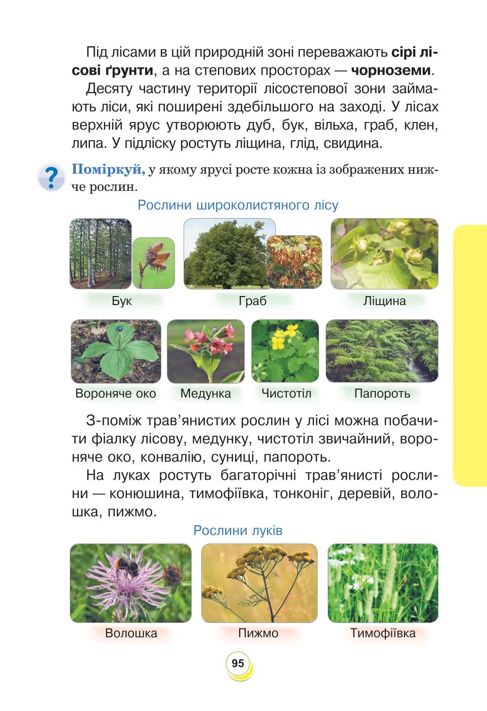 Мініатюра 95