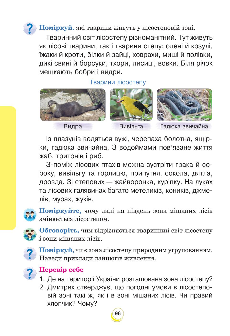 Мініатюра 96