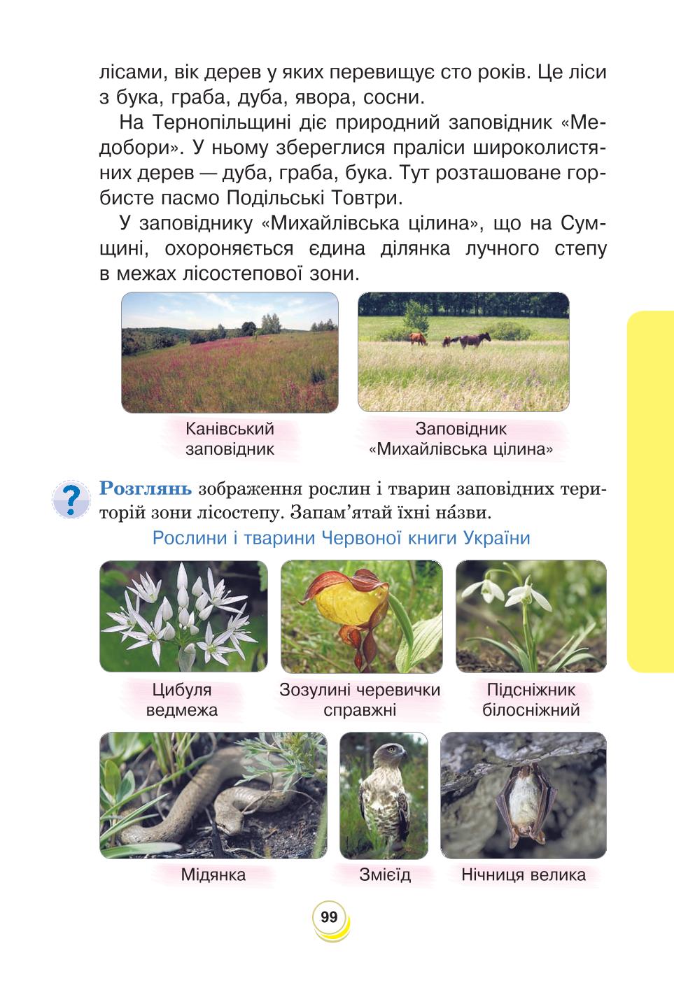 Мініатюра 99