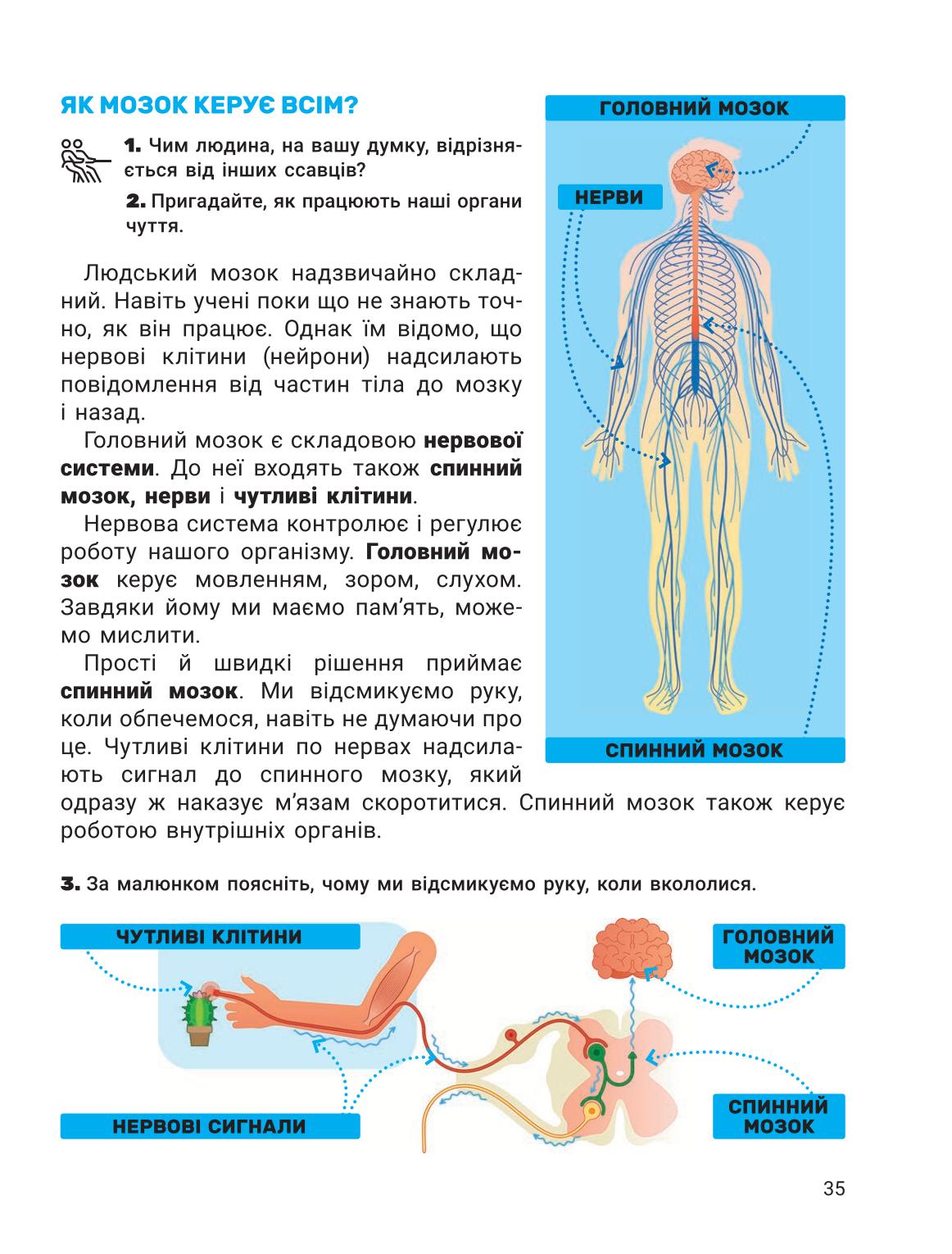 Мініатюра 35