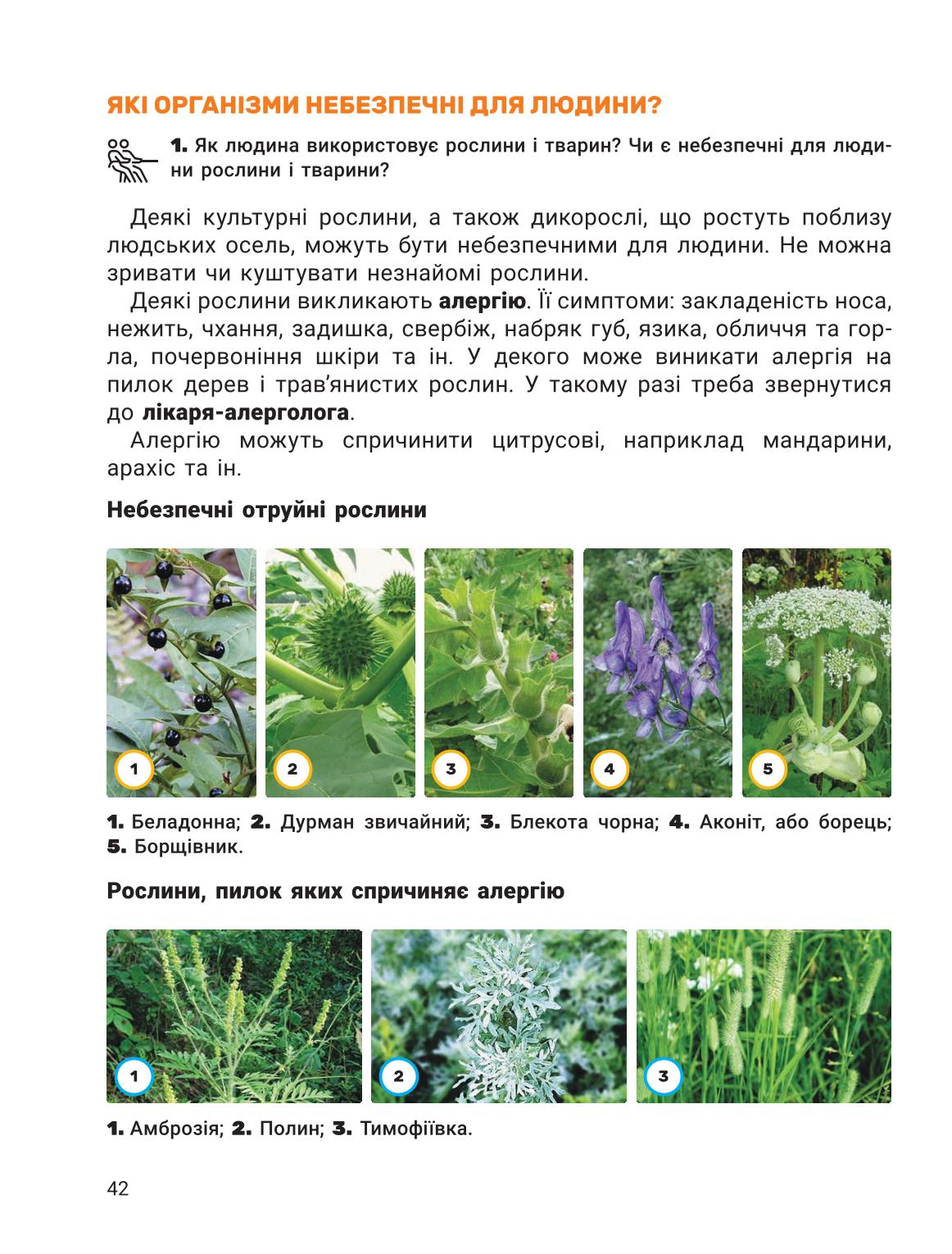 Мініатюра 42