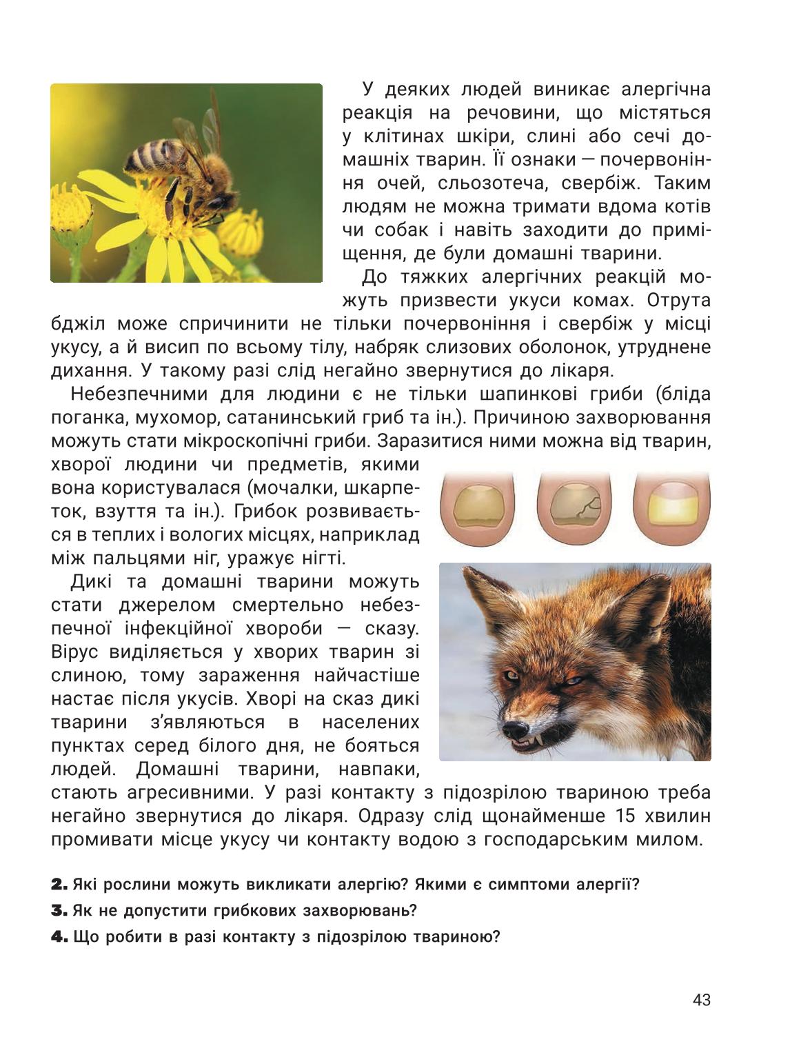 Мініатюра 43